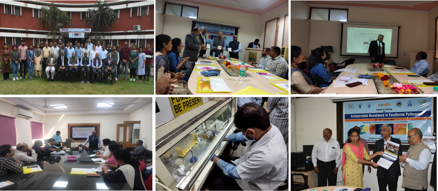 Faculty Training Program At IVRI, Bareilly